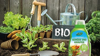 Westland führt Produktneuheiten ein. Bild: Seramis.