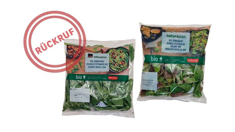 Coop ruft Jungspinat und -salat zurück. Bild: Coop.