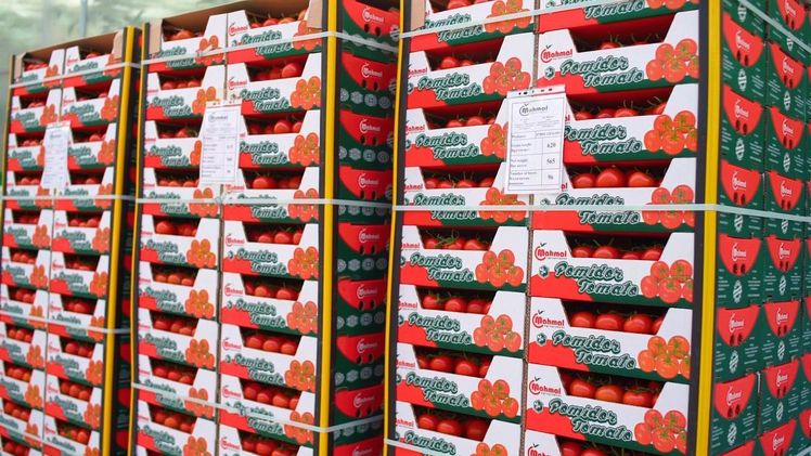 Die 4. jährliche internationale "Greenhouse Complexes Russia and CIS 2019" ist eine etablierte professionelle Plattform, um Investitionen in die russische Gewächshausindustrie zu erschließen, Strategien zur Branchenentwicklung zu diskutieren, Erfahrungen zwischen wichtigen Marktteilnehmern auszutauschen und neue lukrative Verträge abzuschließen. Bild: Vostock Capital. 