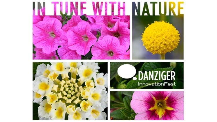 Danziger zelebriert die Schönheit der Natur beim InnovationFest. Bild: Danziger.