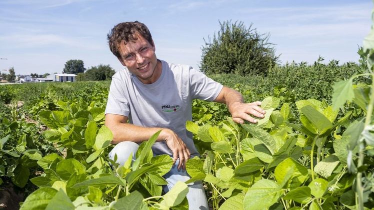 Pfalzmarkt-Erzeuger Thomas Reeb aus Dudenhofen hat gut lachen: Er gilt als einer der Edamame-Pioniere in Deutschland, der die Jahrhunderte alte und äußerst gesunde Kulturpflanze aus Fernost jetzt erfolgreich in der Pfalz anbauen möchte. Bild: Pfalzmark Pfalzmarkt-Erzeuger Thomas Reeb aus Dudenhofen hat gut lachen: Er gilt als einer der Edamame-Pioniere in Deutschland, der die Jahrhunderte alte und äußerst gesunde Kulturpflanze aus Fernost jetzt erfolgreich in der Pfalz anbauen möchte. Bild: Pfalzmarkt eG.