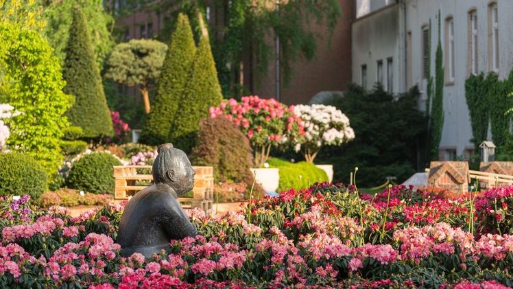 Ein Mittelpunt der RHODO 2023 bildet der Marktplatz in der Innenstadt. Bild: RHODO.
