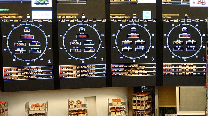 Die Veiling Rhein-Maas versteigert ab 15. September 2020 Fairtrade-zertifizierte Rosen von dem neuen Anlieferer Bahati Premium Roses. Bild: Veiling Rhein-Maas.