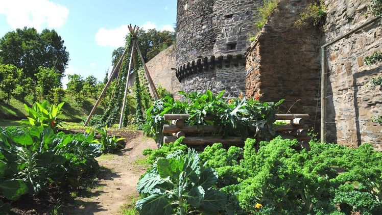 Mitten in der 30.000 Einwohner-Stadt wurde entlang der Historischen Stadtmauer eine Fläche von 1,6 Hektar mit Gemüsebeeten und Spalierobst bepflanzt. Bild: Stadtverwaltung Andernach – Maurer.
