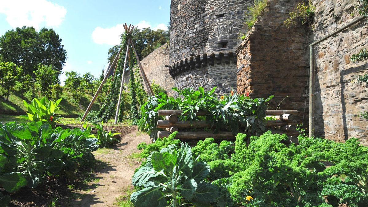 花壇と芝生を野菜畑に変えて、誰でも摘んでよいことにした