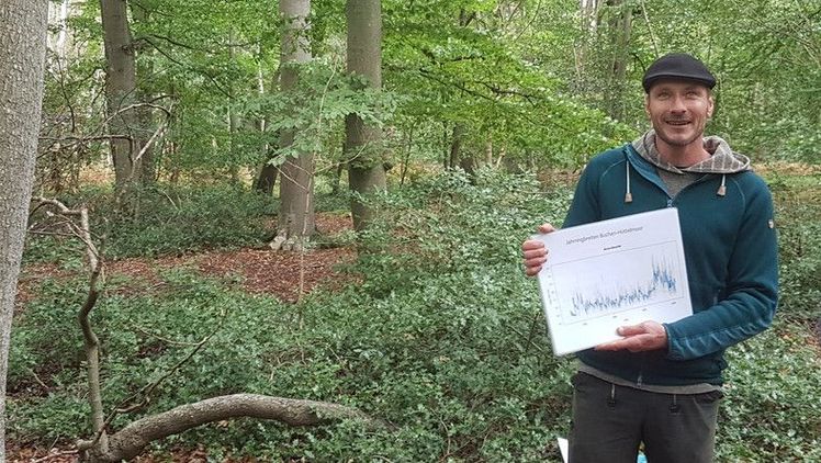Dr. Tobias Scharnweber von der Universität Greifswald mit einer Jahrringanalyse vor den wahrscheinlich ältesten Buchen Nordostdeutschlands. Foto: Stadtforstamt Rostock. 