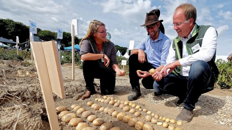 PotatoEurope 2026 wieder in Deutschland. Bild: DLG.