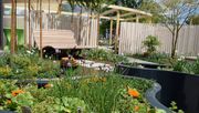 Der Garten der Firma Gärten von Panknin GmbH dient als Ruhepol nach stressigen Tagen und als Begegnungsort für Treffen mit Freunden und Familie. Bild: FGL.