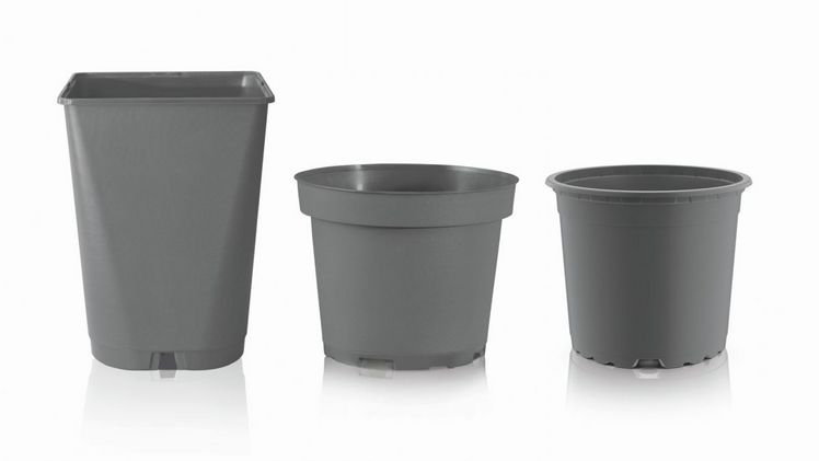 Nachhaltige Alternative zu nicht recycelbaren schwarzen Pflanztöpfen: Neue Range Baseline in grauer Färbung. Bild: Pöppelmann TEKU®.