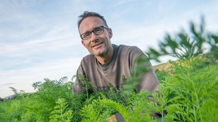 Biobauer Bernhard Elmiger geht davon aus, dass Kupfer-Einsatz bei Annahme der Initiative verboten würde. Das wäre für verschiedene Kulturen ein Problem. Bild: ep, lid.ch.