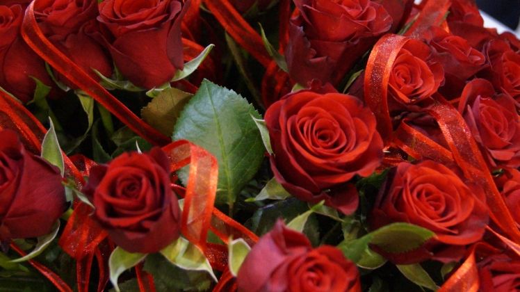 Niederösterreichs Gärtner und Floristen dürfen am Valentinstag öffnen. Bild: GABOT.