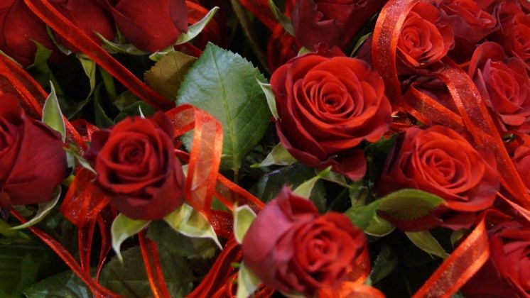 Zwar geht der Anteil der Blumenkäufer zum Muttertag in diesem Jahr zurück, doch Blumen bleiben das beliebteste Geschenk zu diesem Anlass. Bild: GABOT.