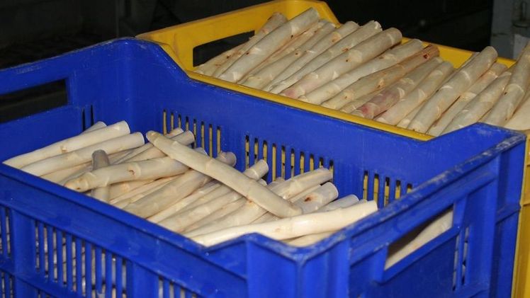 2020 ist der Absatz an die Gastronomie fast vollständig weggebrochen. Bild: GABOT. 2020 ist der Absatz an die Gastronomie fast vollständig weggebrochen. Bild: GABOT.