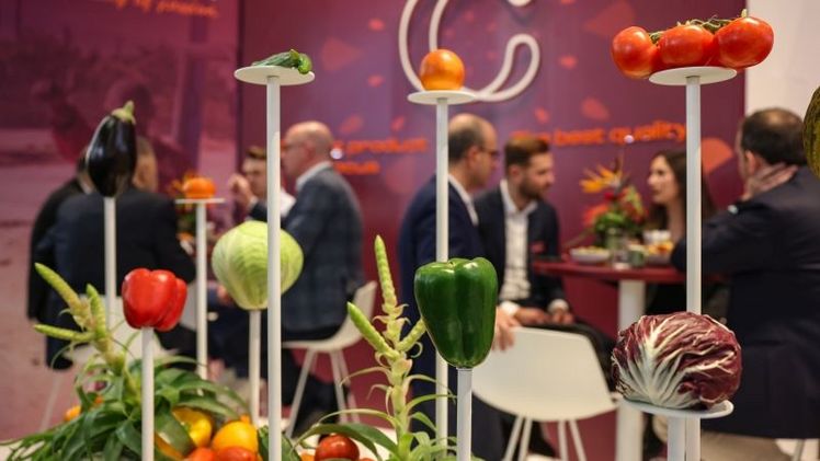 Aussteller und Fachbesucher auf der FRUIT LOGISTICA 2024 im Gespräch. Fast 85% der Besucher waren Entscheider und 96% der Aussteller würden die FRUIT LOGISTICA weiterempfehlen. Bild: © Messe Berlin GmbH.