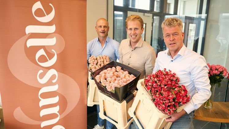 V.l.n.r.: Paul Holla (Holla Roses), Christian Teerds (Sunselle) und Arie van den Berg (Berg Roses). Bild: Sunselle.