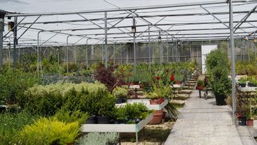 Impressionen vom Horto do Campo Grande Gartencenter in Quinta da Eira. Bild: GABOT.