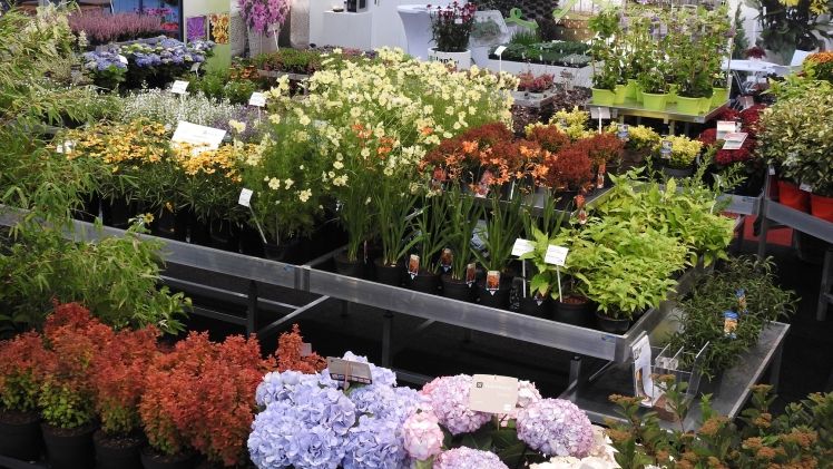 Am 12., 13. und 14. Juni findet im Plantariumgebäude auf dem Gelände des International Trade Center in Boskoop-Hazerswoude zum ersten Mal die Garden Trials and Trade statt. Bild: Garden Trials and Trade. 
