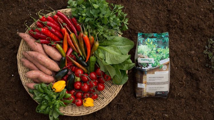 Besonders im Nutzgartenbereich setzen die meisten Hobbygärtner heute auf rein organischen Dünger, denn sie wünschen sich selbstgezogene Früchte und Gemüse in Bioqualität. Bild: Hauert.