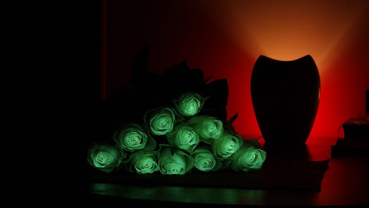 flAVATAR Trade - Blumen, die im Dunklen leuchten.