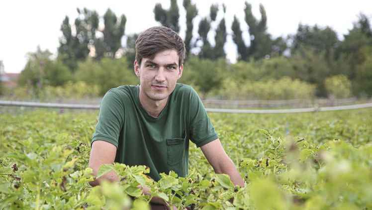 Die Berufsausbildung hat Sven Meißner mit der Note 1,1 – als bester Gemüsebauer in Ober- und Unterfranken – bestanden. Bild: LWG.