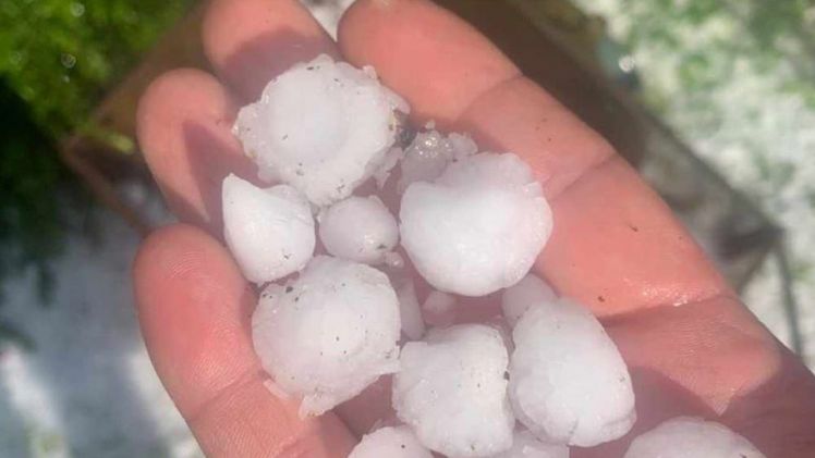 Hagelschlossen im Juni 2024. Bild: Vereinigte Hagelversicherung.