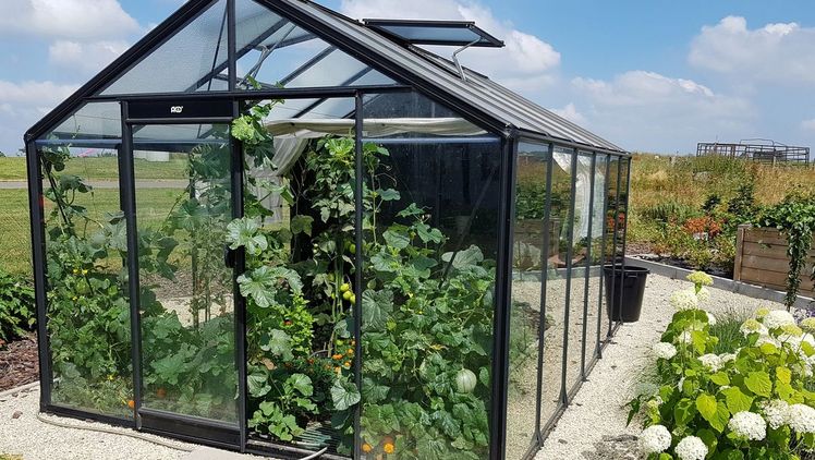 Mit Gewächshaus ist der Garten gleich mindestens doppelt so wertvoll. Bild: BOMA-ACD.