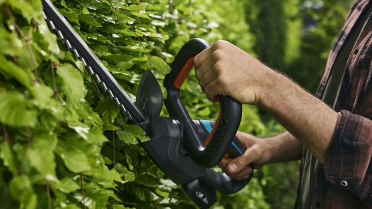 Die Akku-Heckenschere GARDENA EasyCut 55/18V unterstützt beim regelmäßigen Scheiden von Hecken und Sträuchern. Bild: © GARDENA.