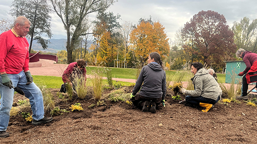 Dr. Kerstin Hofmann ist froh über die anhaltende Hilfe der Ehrenamtlichen. Diesmal bei der Aktion dabei:  Heinrich Reimer, Ingrid Scheuer, Simone Köppen, Helmut Theuer (halb verdeckt) und Suzanna Langpaulová. Bild: Heidi Wolf, LGS 2025. Pflanzenexpertin Dr. Kerstin Hofmann ist froh über die anhaltende Hilfe der Ehrenamtlichen. Diesmal bei der Aktion dabei:  Heinrich Reimer, Ingrid Scheuer, Simone Köppen, Helmut Theuer (halb verdeckt) und Suzanna Langpaulová. Bild: Heidi Wolf LGS 2025.