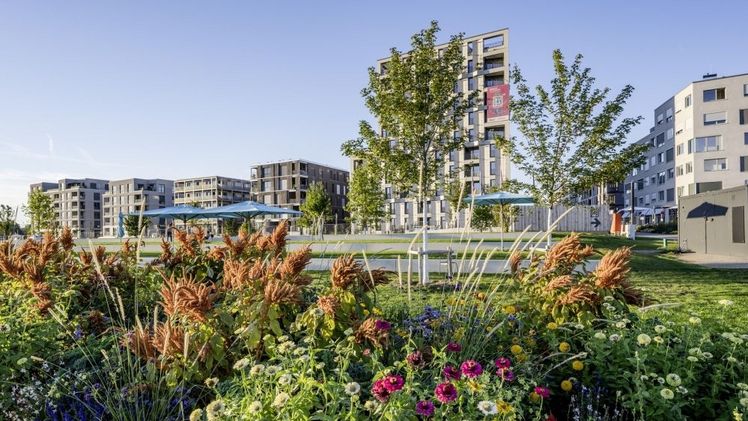 Gartenschauen entwickeln Lebensräume nachhaltig. Bild: DBG/Luckner.