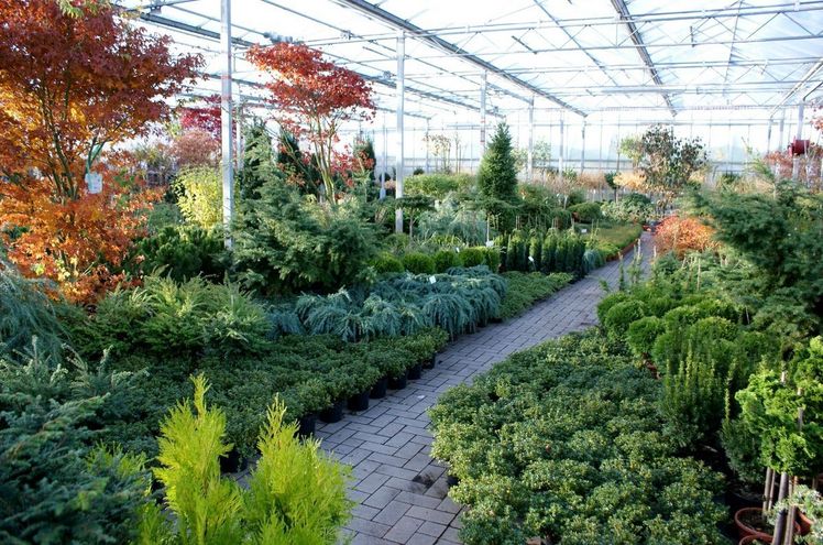 Das umfangreiche Oldenburger Sortiment zeigt sich bei der Oldenburger Vielfalt 2019. Bild: BdB.