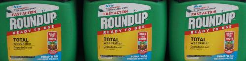Das Herbizid Roundup mit dem Wirkstoff Glyphosat bleibt in der Diskussion