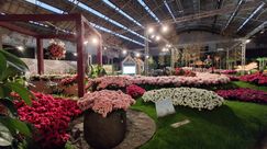 Impressionen von den Genter Floraliën. Bild: GABOT.