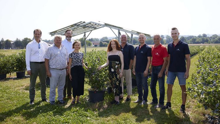 Pionierprojekt mit Heidelbeeren in Österreich (v.l.n.r.: Klemens Neubauer, Karl Gerstl (ehem. Bürgermeister), Franz Rafetzeder (Bgm. Wieselburg-Land), Annemarie Haydn (ecoplus Technopol Wieselburg), Sophia Melcher (RWA Solar Solutions), Alois Schroll (Abg. z. NR), Markus Wurzer, Leo Wurzer, Dominik Wurzer). Bild: © RWA/Leitner. 