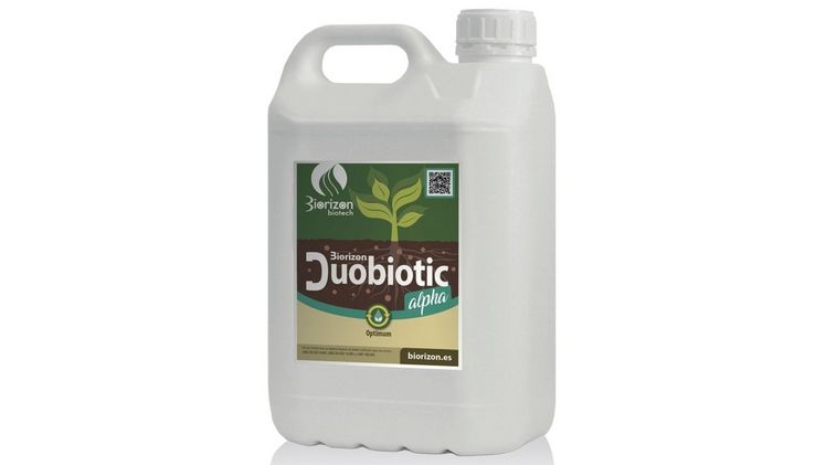 Auf Bakterienstämmen basiert das neue Pflanzenschutzmittel Duobiotic Alpha. Bild: Biorizon Biotech.
