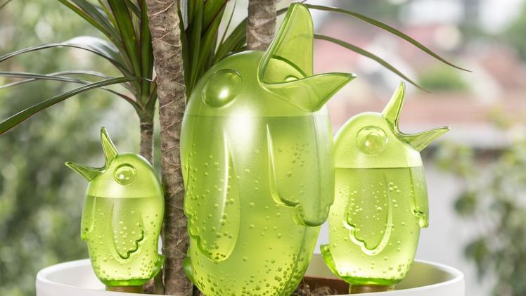 Bördy XL von Scheurich ist Testsieger