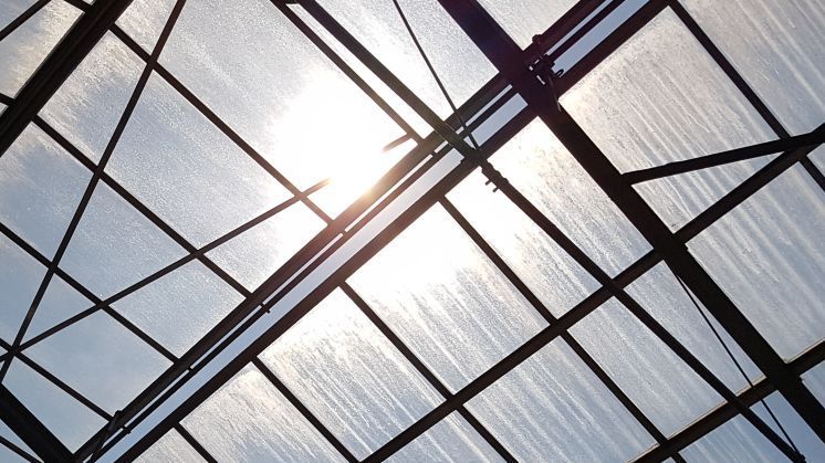 Die SVLFG weißt auf die Gesundheitsgefahren von Hitze und Sonneneinstrahlung hin. Bild: GABOT.