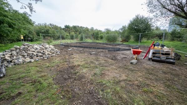 Neues Feuchtbiotop im Wiener Donaupark. Bild: © Robert Harson.