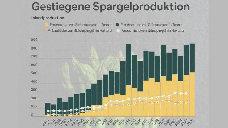In der Schweiz ist die Spargelproduktion gestiegen. Grafik: LID,