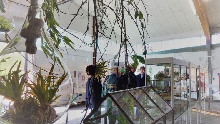 Baumschulmuseum: "Spurensuche – Mut zur grünen Verantwortung!"