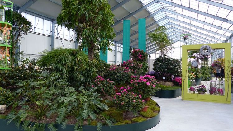 Impressionen von der zweiten Hallenschau. Bild: DBG.