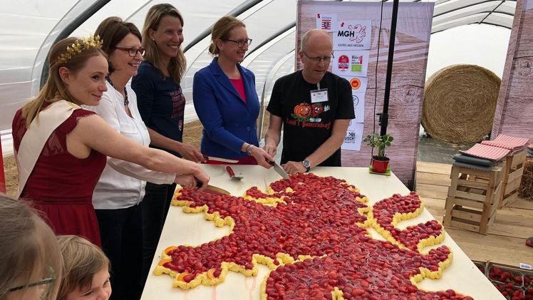 Der Erdbeerkuchen in Form des Hessen-Löwen wird bei der Eröffnung der Erdbeersaison 2019 angeschnitten. Bild:© HMUKLV.