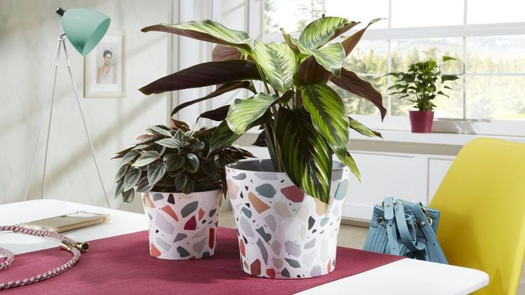 Terrazzo assoziiert Sonne und lässt Pflanzenliebhaber strahlen. Dafür sorgen zudem die hochwertigen Produkteigenschaften: Made in Germany und absolut wasserdicht. Bild: Scheurich.