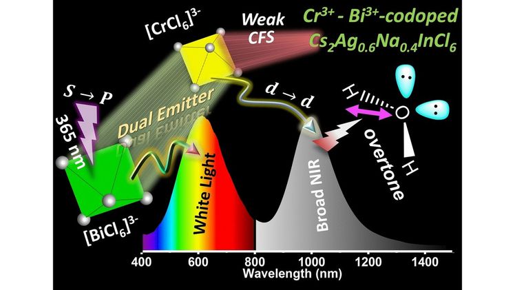 LED-Frischenachweis für Obst. Bild: Wiley-VCH.