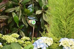 In diesen Röhrchen werden die Schlupfwespen angeliefert. Vier davon sind in der gesamten Halle verteilt. Bild: Lea Mispelkamp, Landesgartenschau Kamp-Lintfort 2020 GmbH.