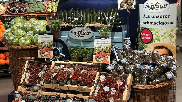 Mit ihrer dunklen Ausfärbung und einzigartigen Form sind Blacky Tomaten ein absoluter Hingucker am POS sowie zu Hause auf dem Teller. Bild: SanLucar.