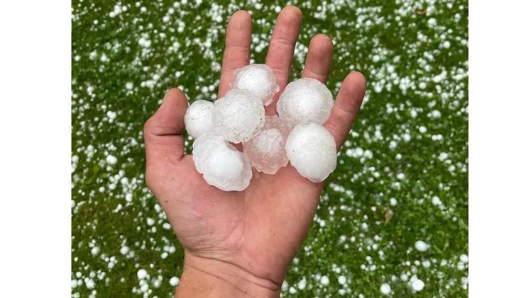 Hagelschloßen in Diex am 23.06.2023. Bild: Österreichische Hagelversicherung.