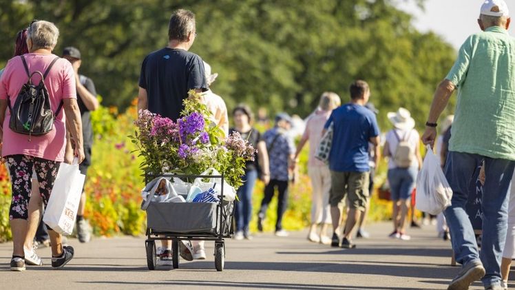 Am 20.12.24 wurde der 500.000.ste Besucher des Jahres 2024 gezählt. Bild: SWE Stadtwerke Erfurt GmbH. 