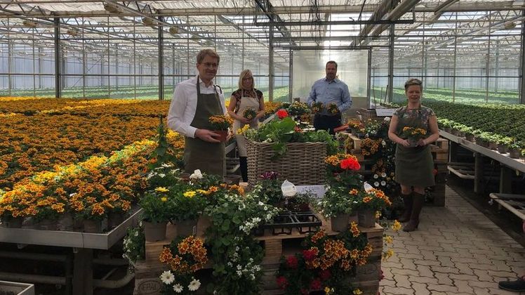 Ministerpräsident Daniel Günther, Kammerpräsidentin Ute Volquardsen, Betriebsleiter Hartwig Bull und Francesca Tischler-Bremer, Präsidentin Wirtschaftsverband Gartenbau Norddeutschland, pflanzen die Pflanze des Jahres, ausgezeichnet mit dem Gütezeichen. Foto: Daniela Rixen, Landwirtschaftskammer .