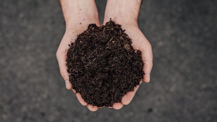 Erde mit Miscanthus-Anteil. Bild: Floragard.