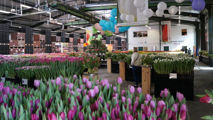 Während der siebten Ausgabe wird den Themen, die die Branche derzeit beschäftigen, große Aufmerksamkeit gewidmet. Bild: GABOT.